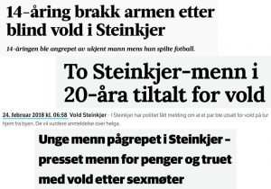 Besøke steinskjer 2